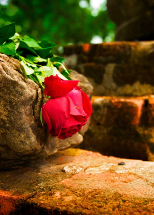 Conseiller en Amour
